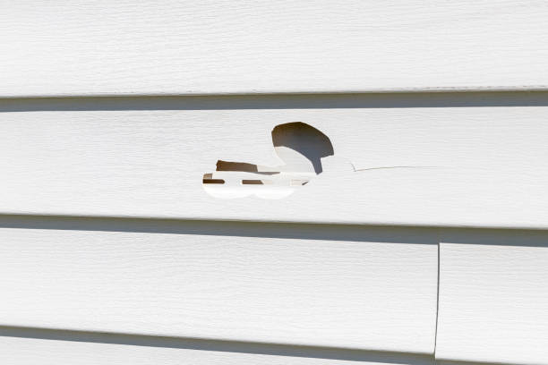 Best Construction Debris Removal  in West Glendive, MT
